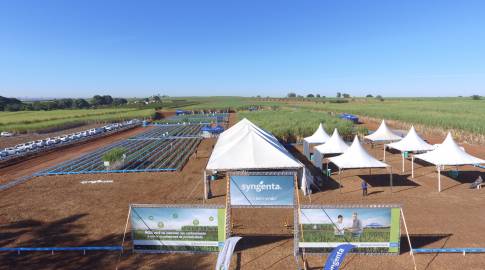 Eventos de Campo