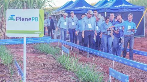 Eventos de Campo